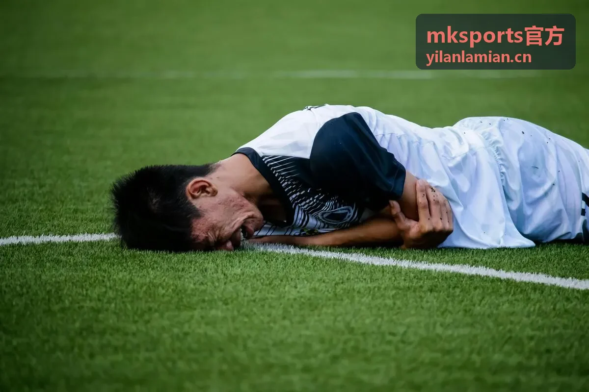 mksports官方会员等级与权益对照示意