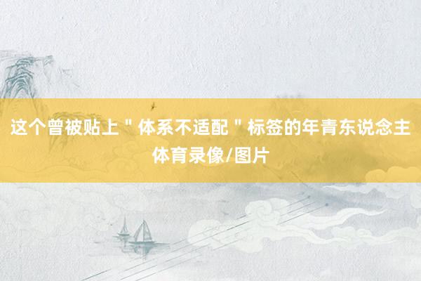 这个曾被贴上＂体系不适配＂标签的年青东说念主体育录像/图片