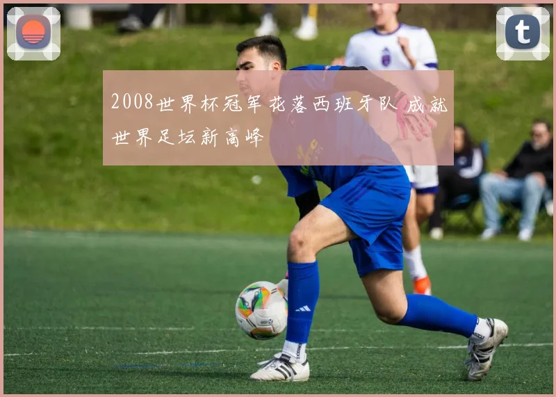 2008世界杯冠军花落西班牙队 成就世界足坛新高峰