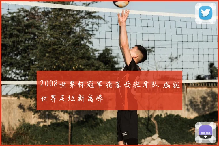 2008世界杯冠军花落西班牙队 成就世界足坛新高峰