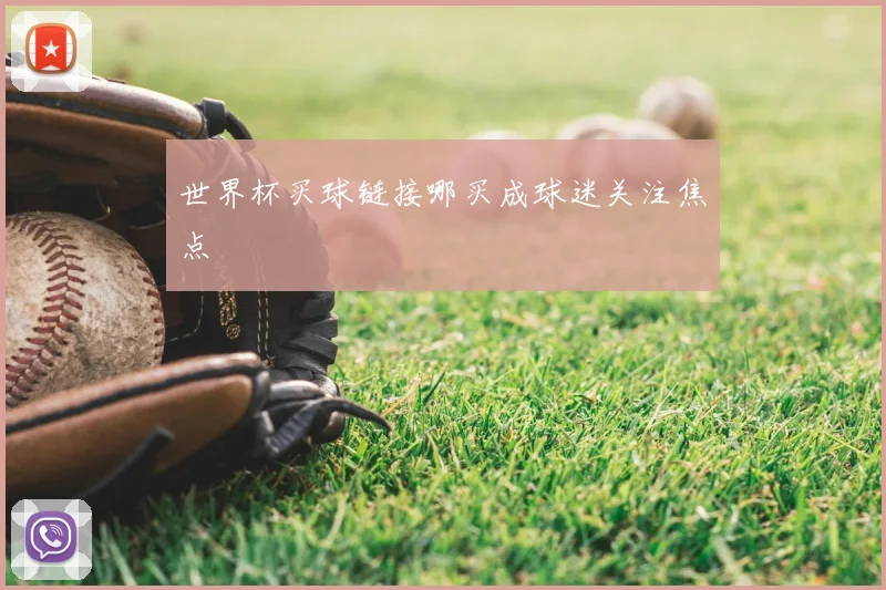 世界杯买球链接哪买成球迷关注焦点